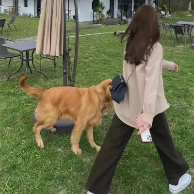 中国兄弟连
