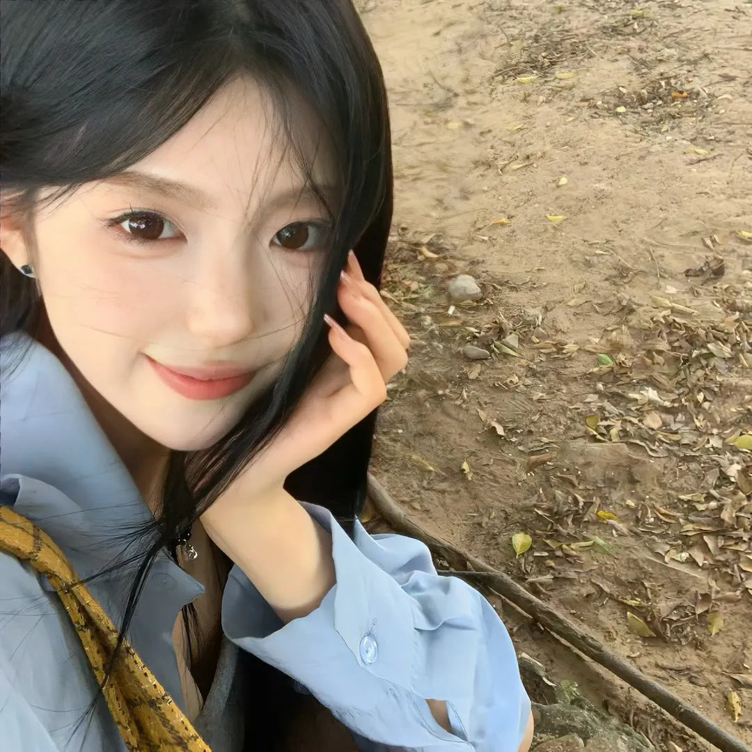 在无爱之森呐喊：深入密森